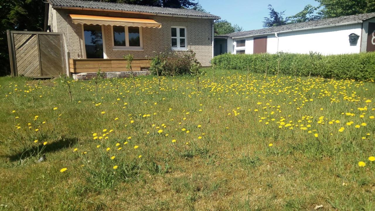 Sommerhaus Eggstedt エクステリア 写真